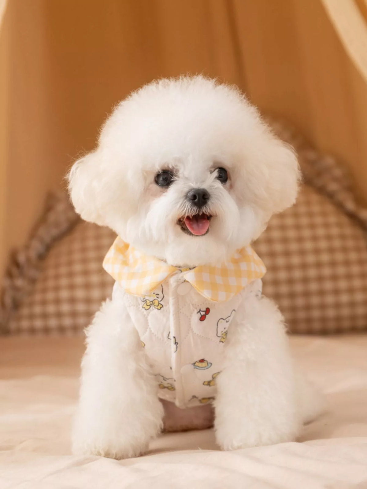 Cute Cartoon Print Padded Pet Jacket with Gingham Collar