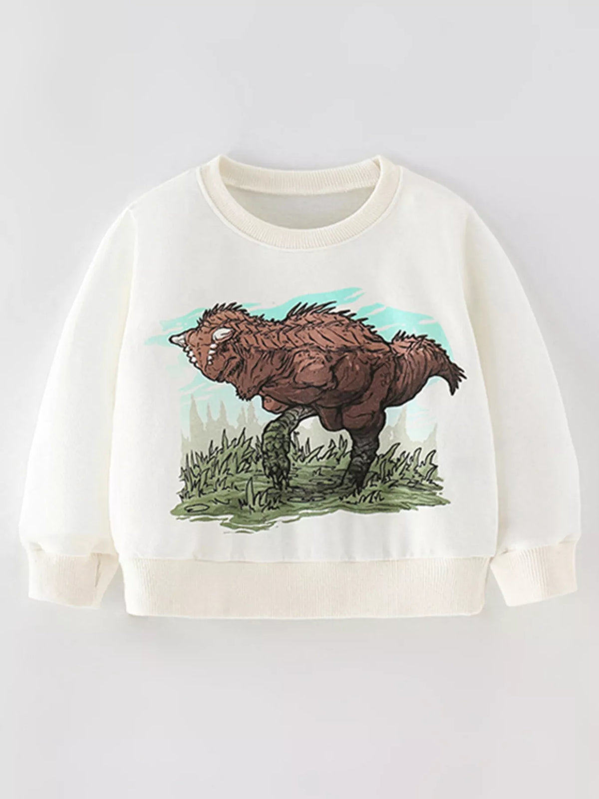 Children's Dinosaur Graphic Crew Neck Sweatshirt